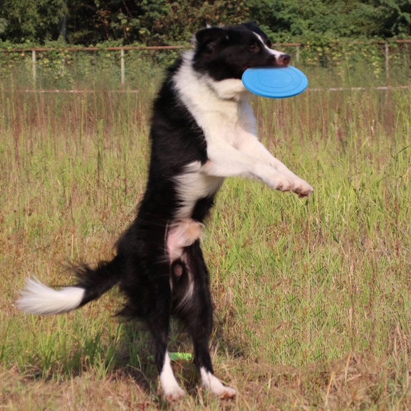 Dog Soft TPR Flying Discs 5