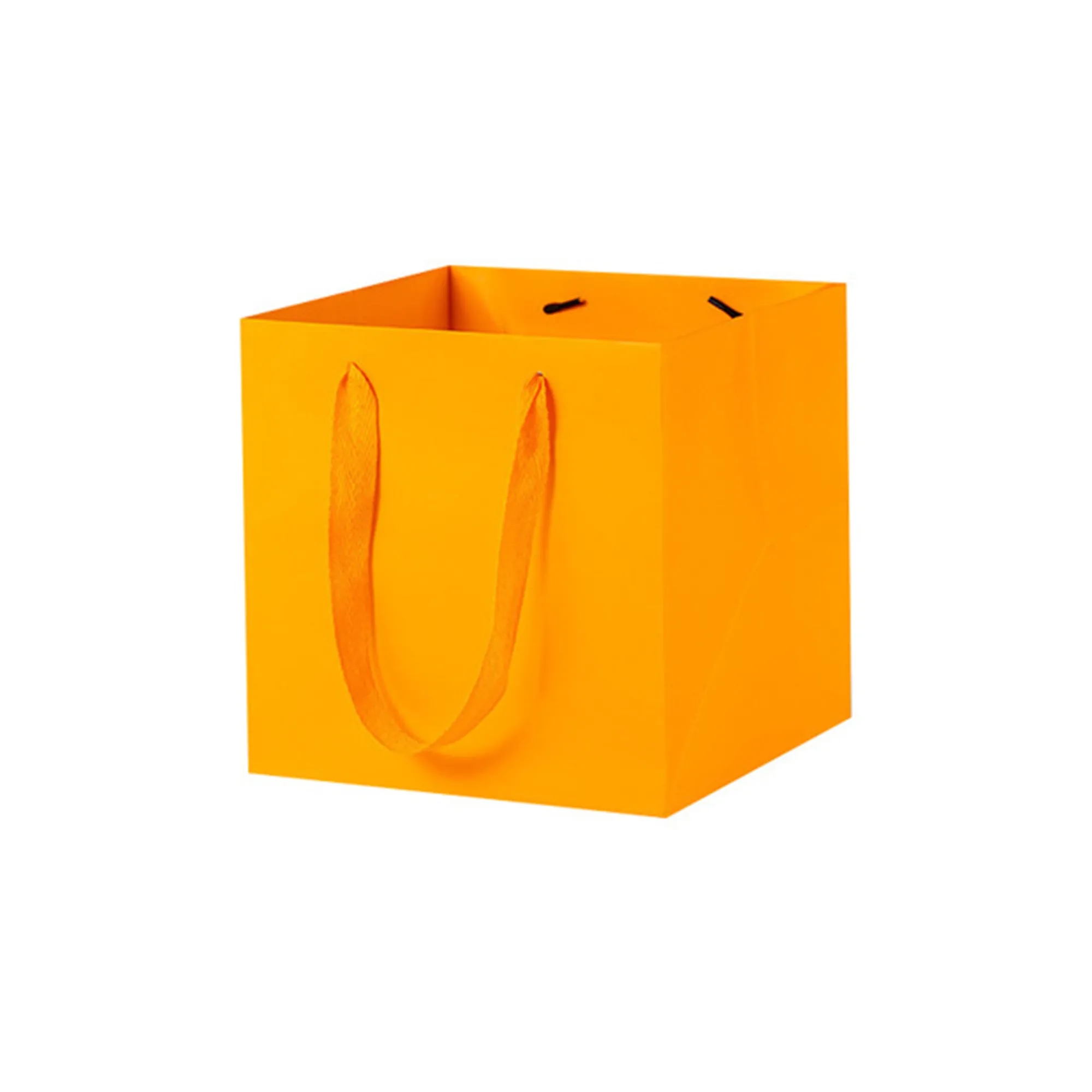 Vibrant Square Paper Gift Bags for Presents With Handles 6