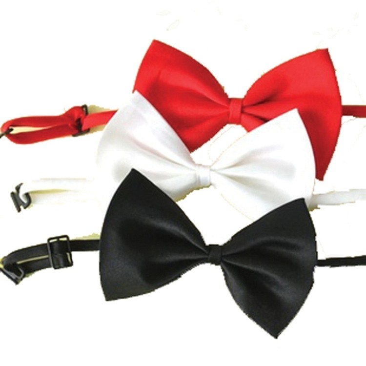Fashion Simple Bow knot Tie 2