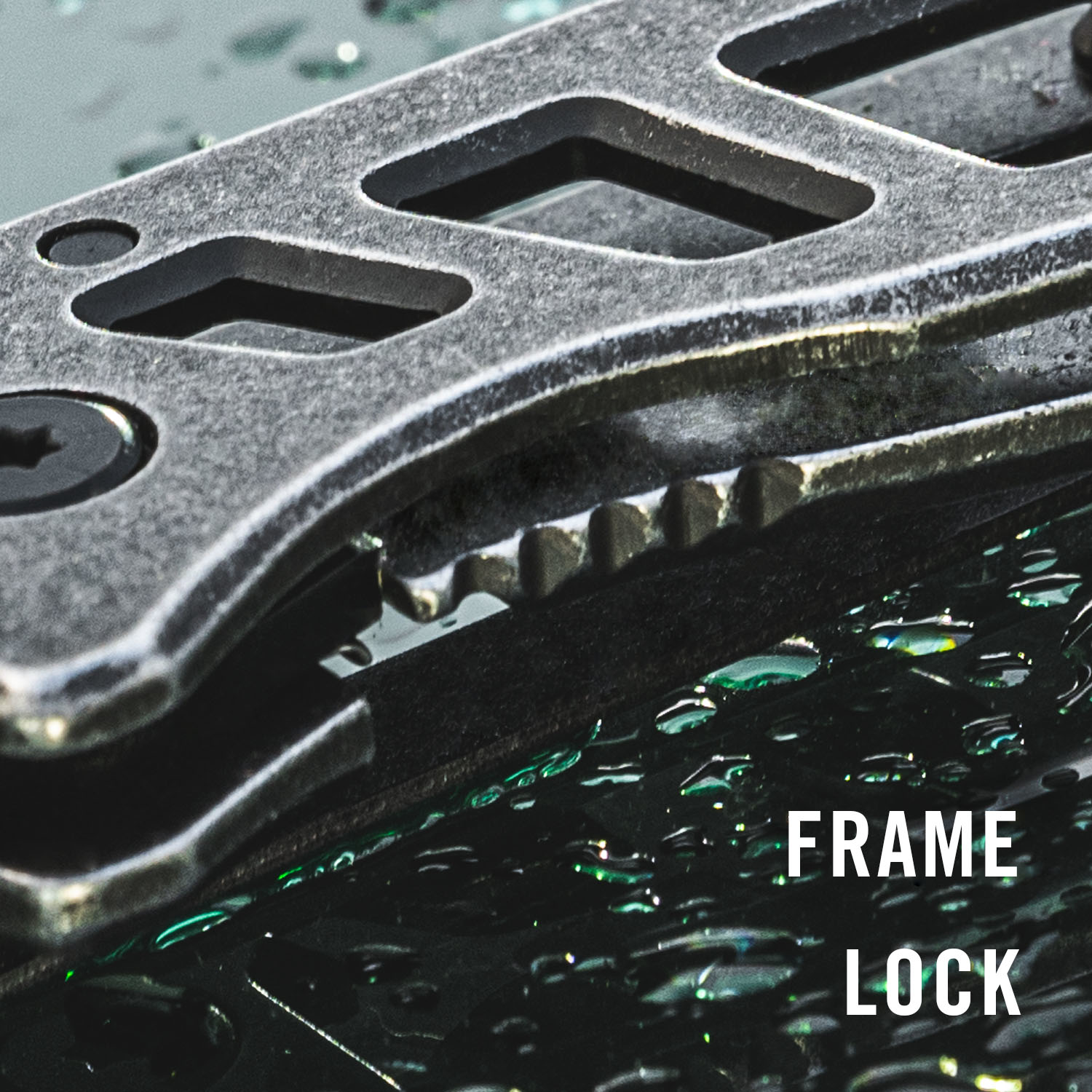 Coast® FDX306 Folding Pocket Knife 2