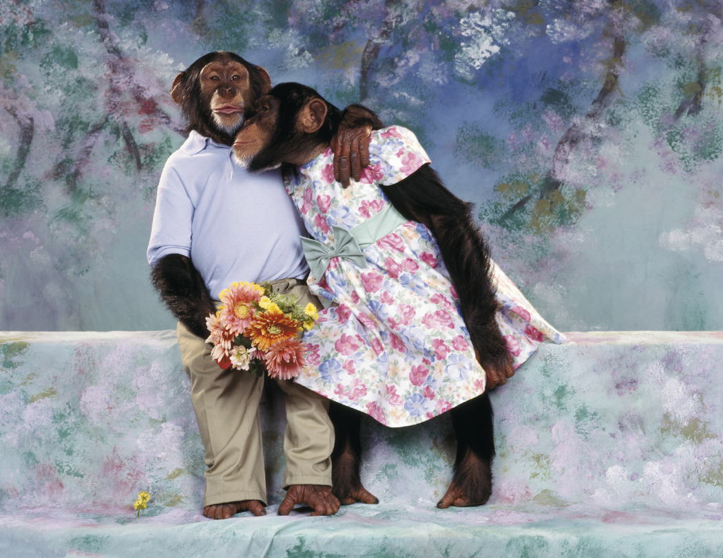Triumph® Calendars Monkey Business Calendar 10