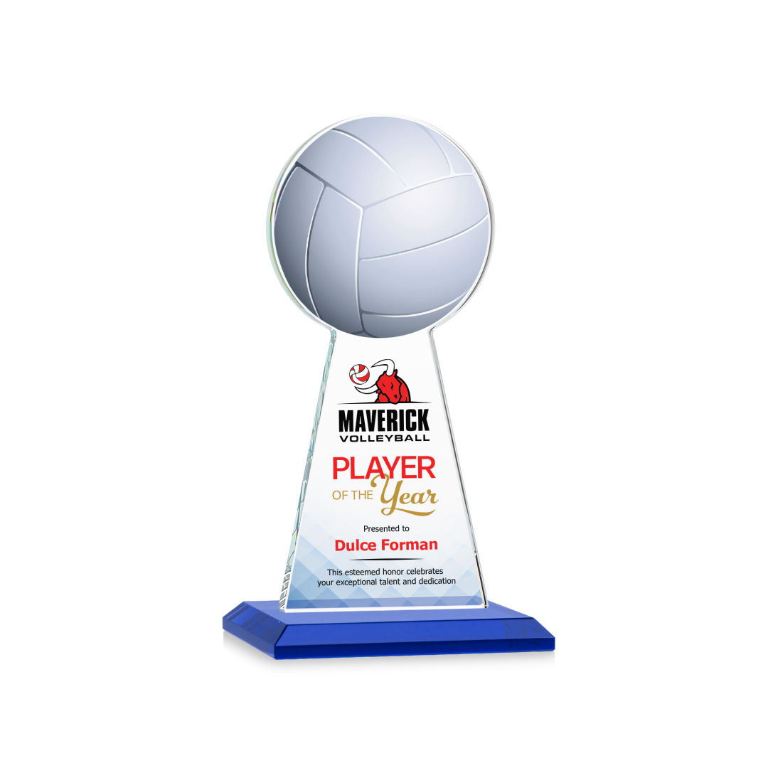 Edenwood Volleyball VividPrint™ Award - Blue 9