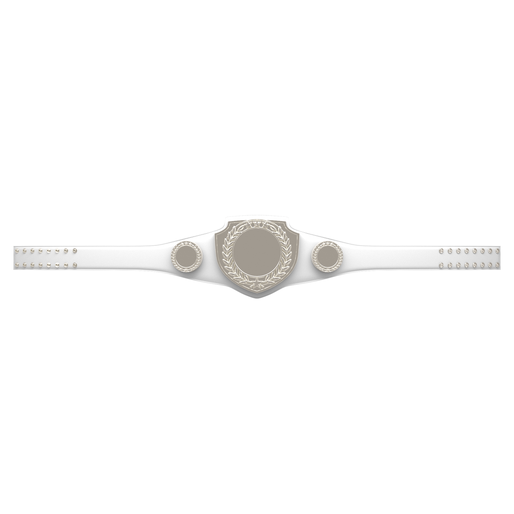 Express Vibraprint® Bright Silver Champion Award Shield Belt 2