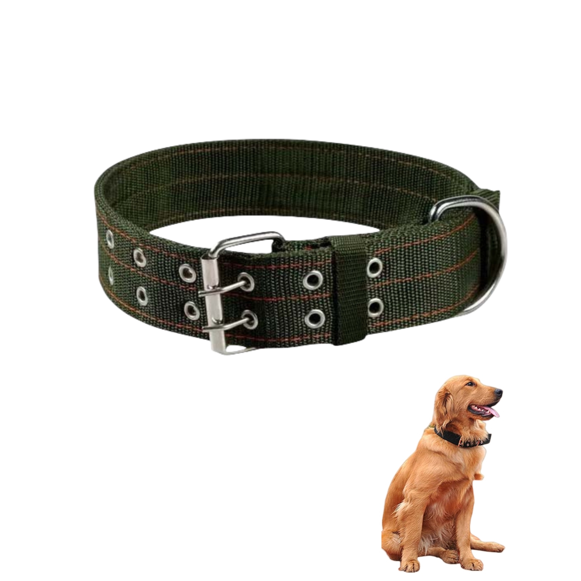 Nelon 2-Rows 1.5" Large Dog Collar 2
