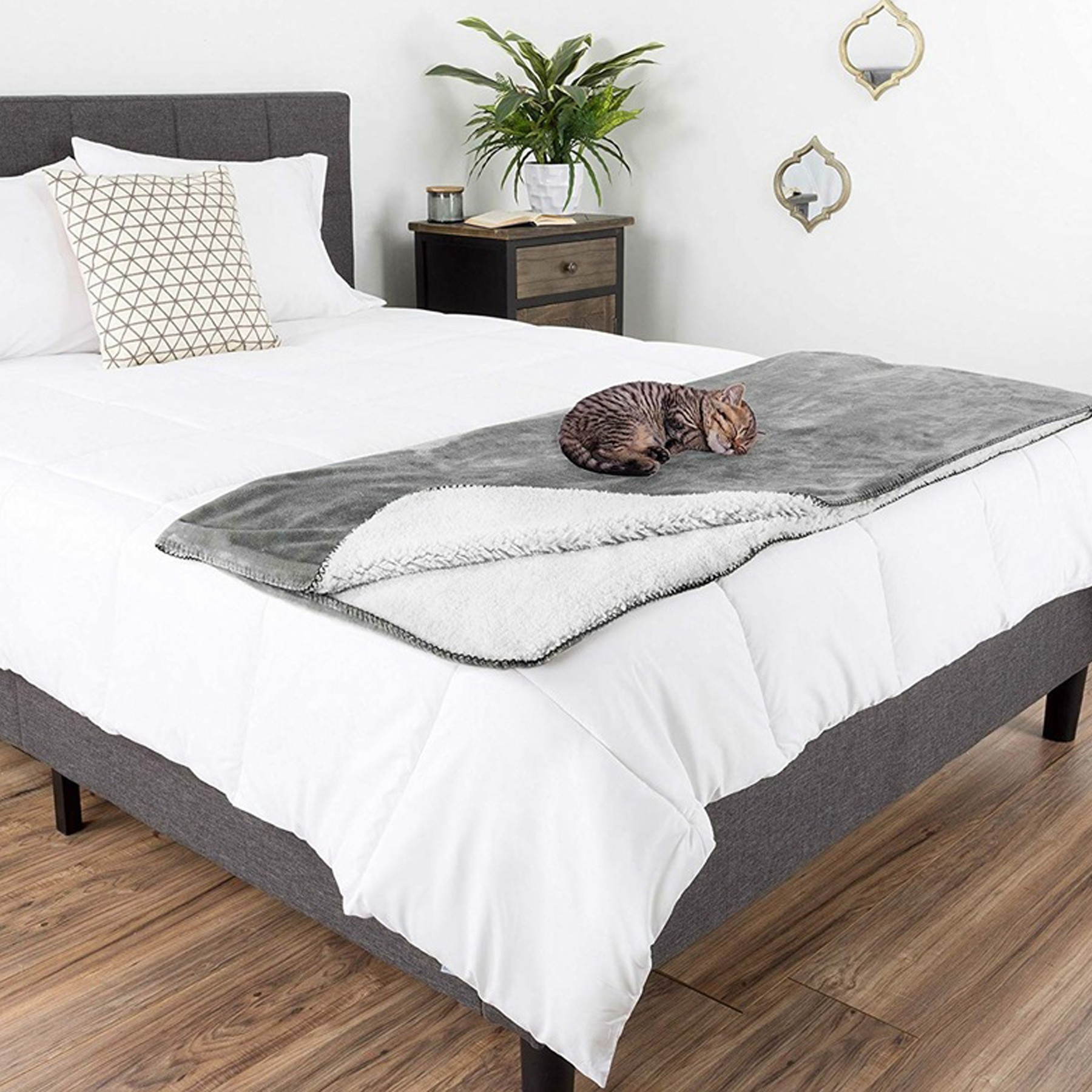 Cashmere Pet Blanket 2