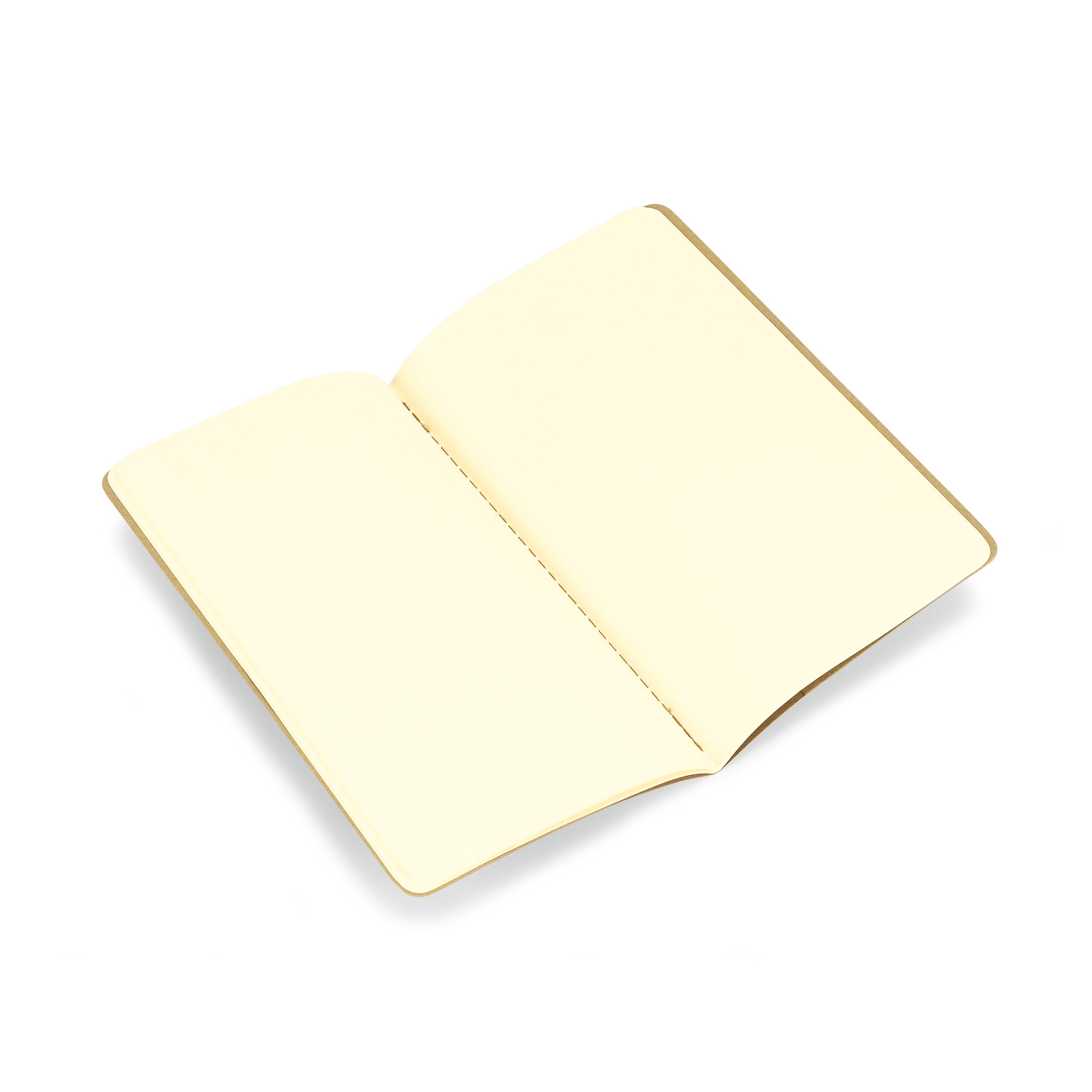 Moleskine® Cahier Plain Large Journal 3