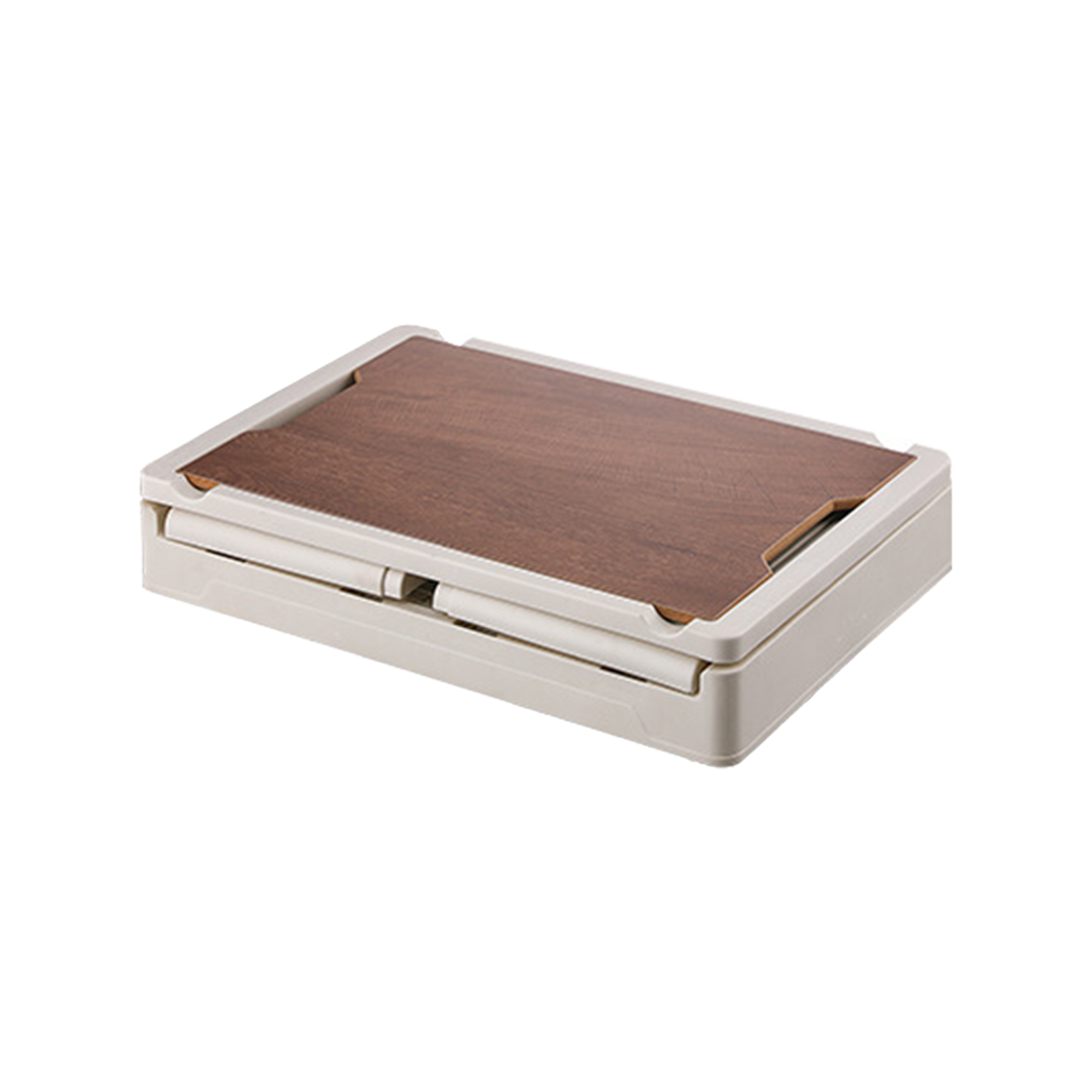 Plastic Trunk Storage Box 10