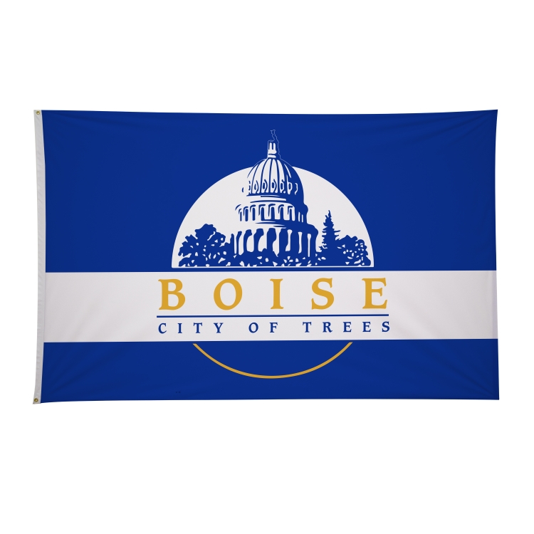5' x 8' City Flags 6