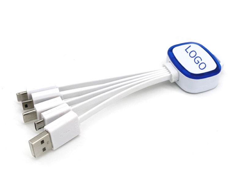 Flashing 4-in-1 Charging Cable 1