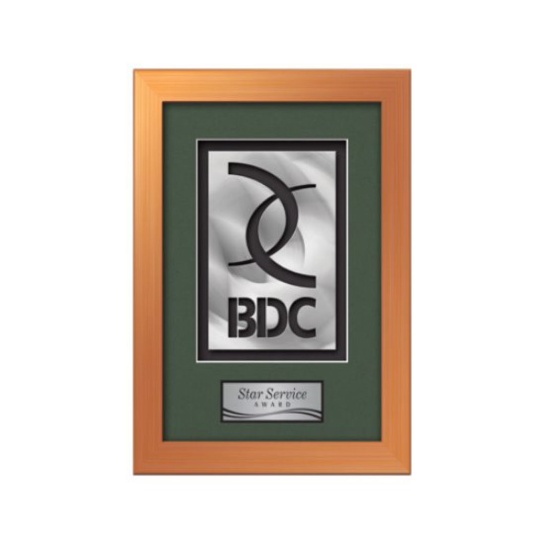 Eldridge Aquashape™ Award - Bronze 2