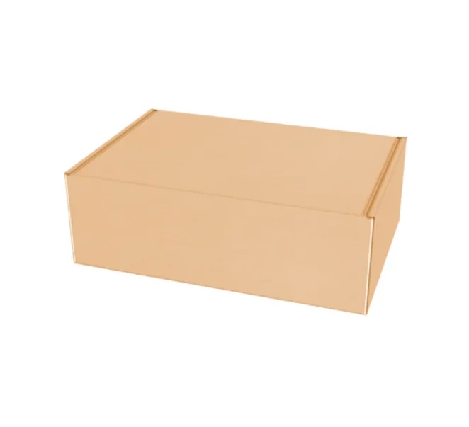 Mailer Boxes - Brown (Plain) 2