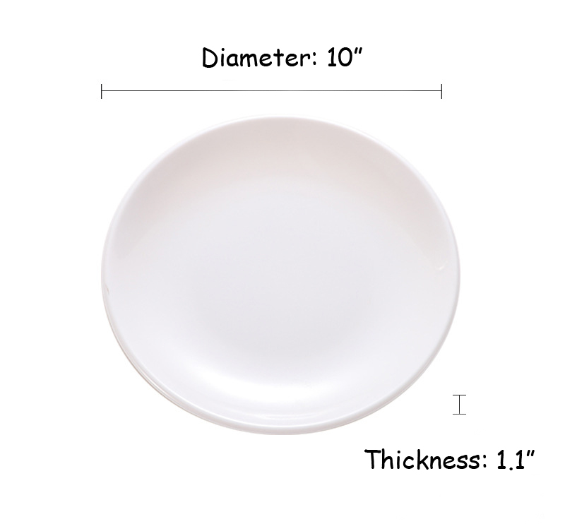 10" D Melamine Plate 2
