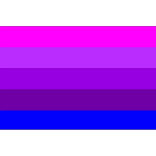 Trigender Motorcycle Flag 1
