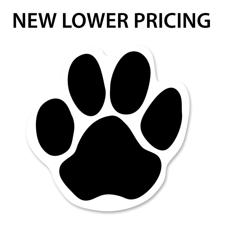 30 Mil Small Paw Print Car Magnet - Full Color 2