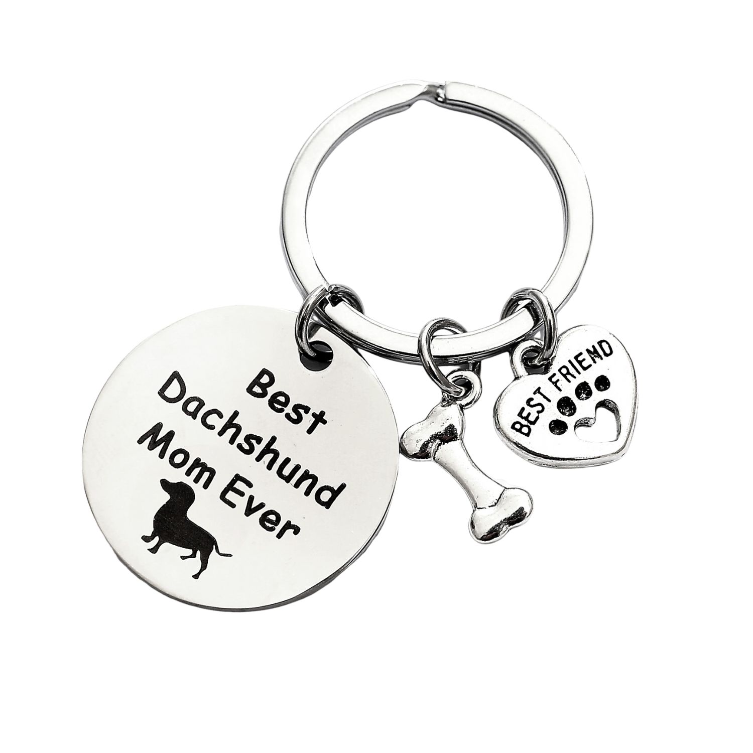 Stainless Steel Round Pet Logo Keychain 1