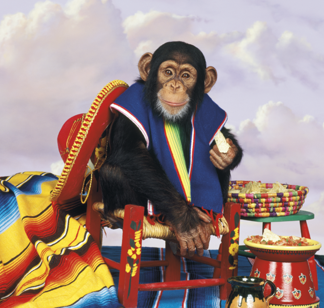Triumph® Calendars Monkey Business Calendar 9