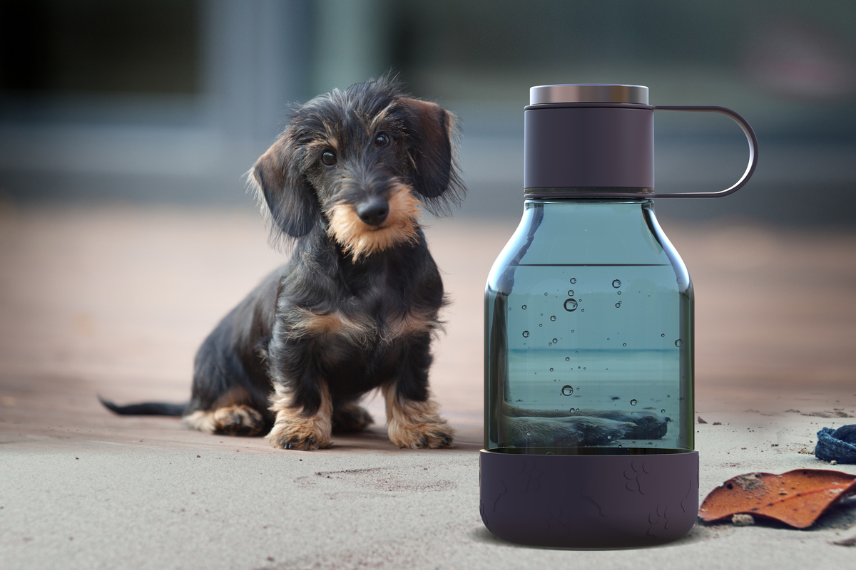 50 oz Asobu Dog Bowl Bottle Lite 11