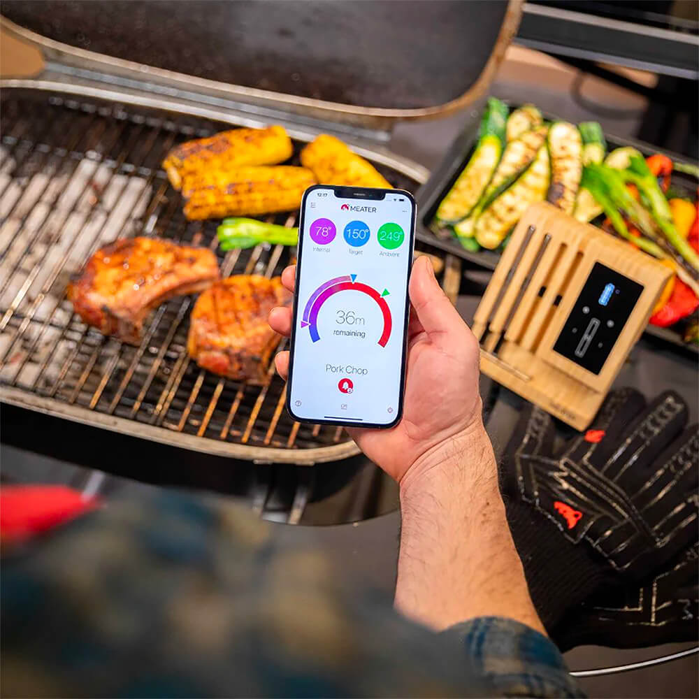Block 4-Probe WiFi Smart Meat Thermometer