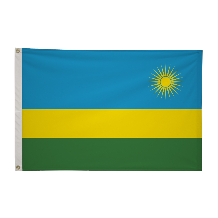 2' x 3'International Flag 296