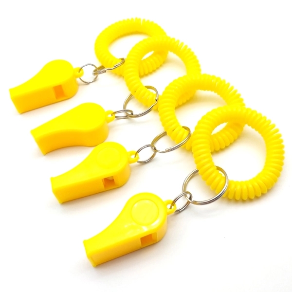 Whistle Coil Keychain 2