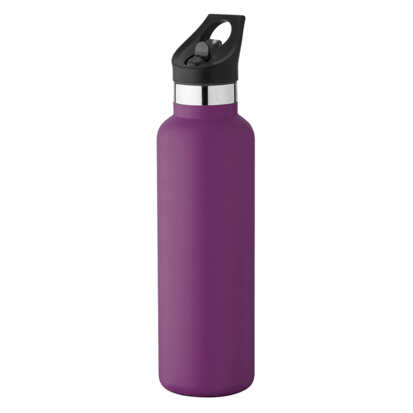 20 oz Basecamp Mesa Tundra Bottle with Screw Top and Flip-Top Straw Lid 319