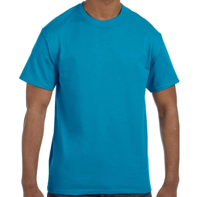 Hanes Men's Authentic-T T-Shirt 19