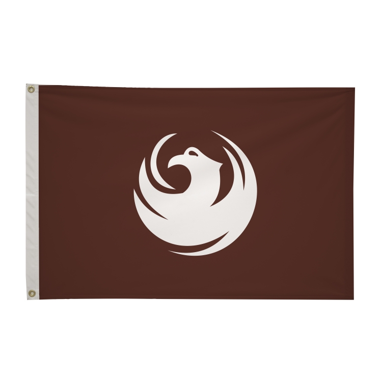 2' x 3' City Flags 84