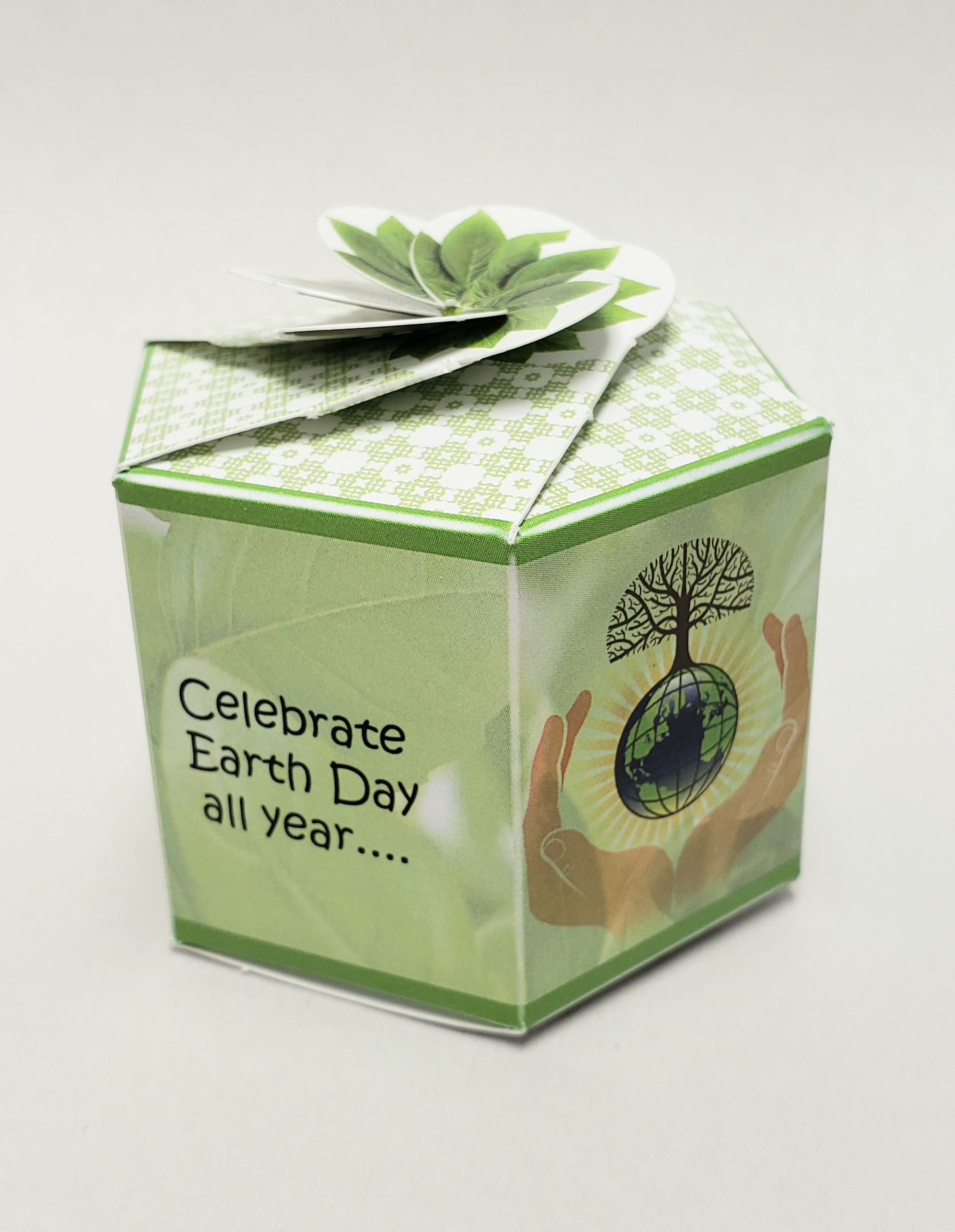 Catnip SeedGems Paper Planter - Biodegradable grow kit 3