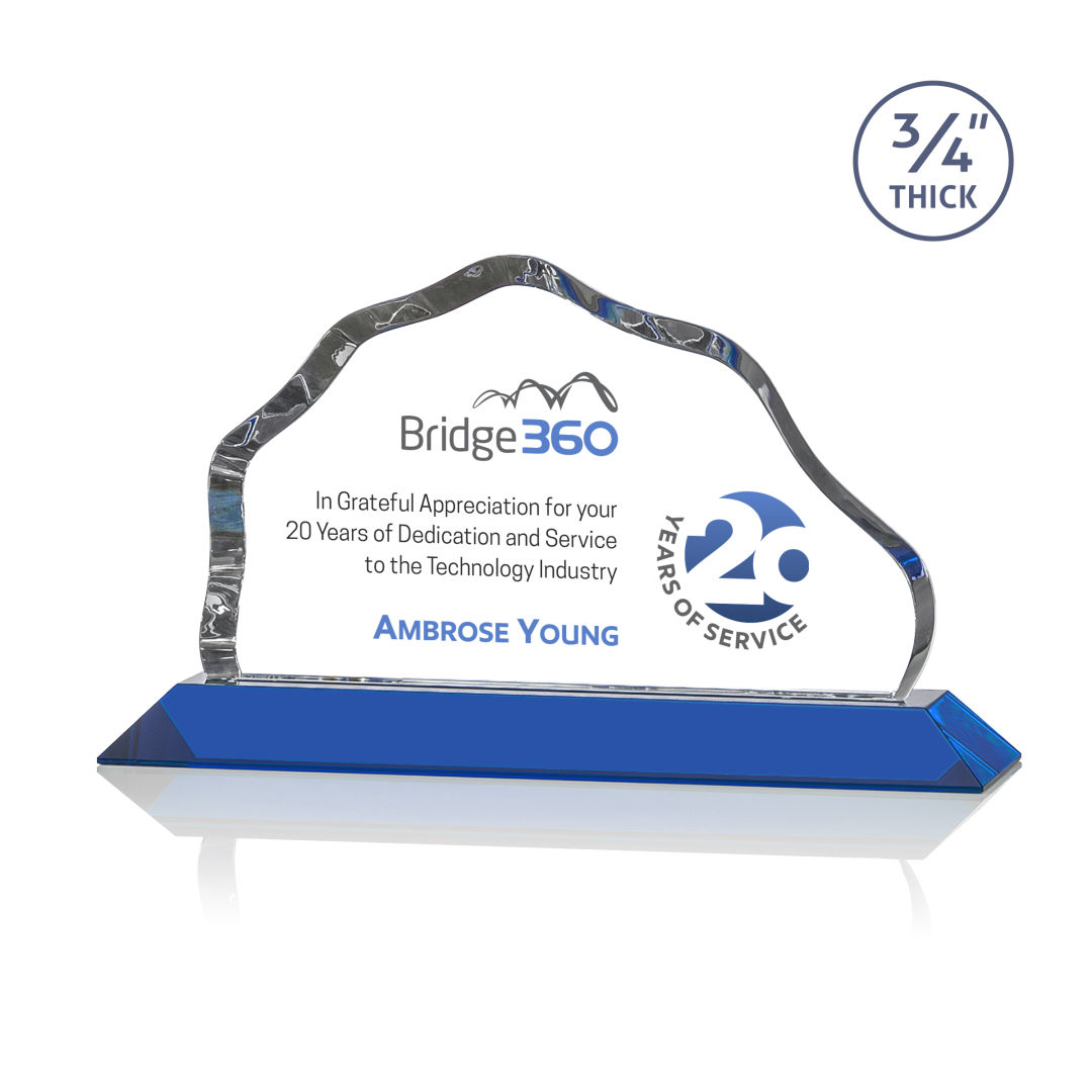Petersen VividPrint™ Award - Blue 4