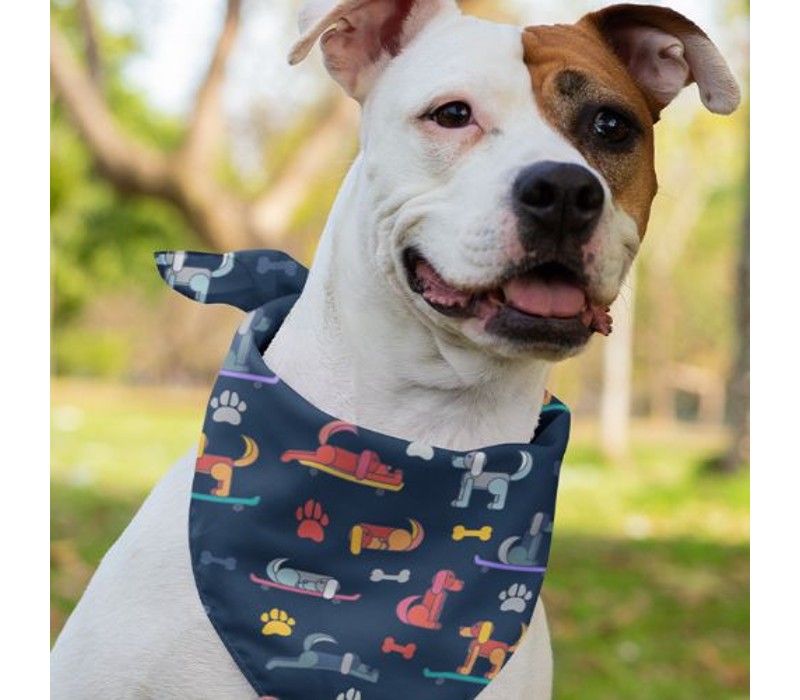 Sublimation Polyester Reusable Face Bandana 3