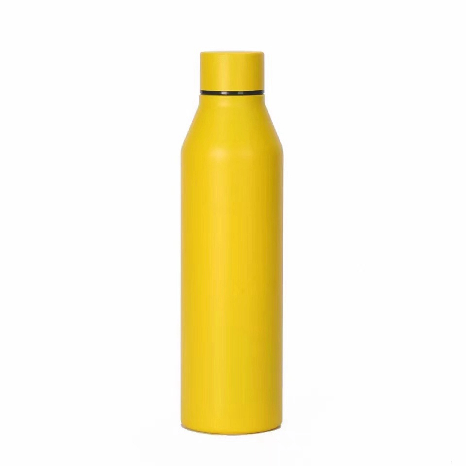 17 Oz. Colorful Double Wall Insulated Vacuum Water Bottle 24