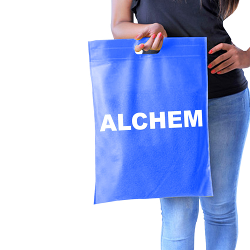 Non Woven Die Cut Bag - 15.75" X 12" 9