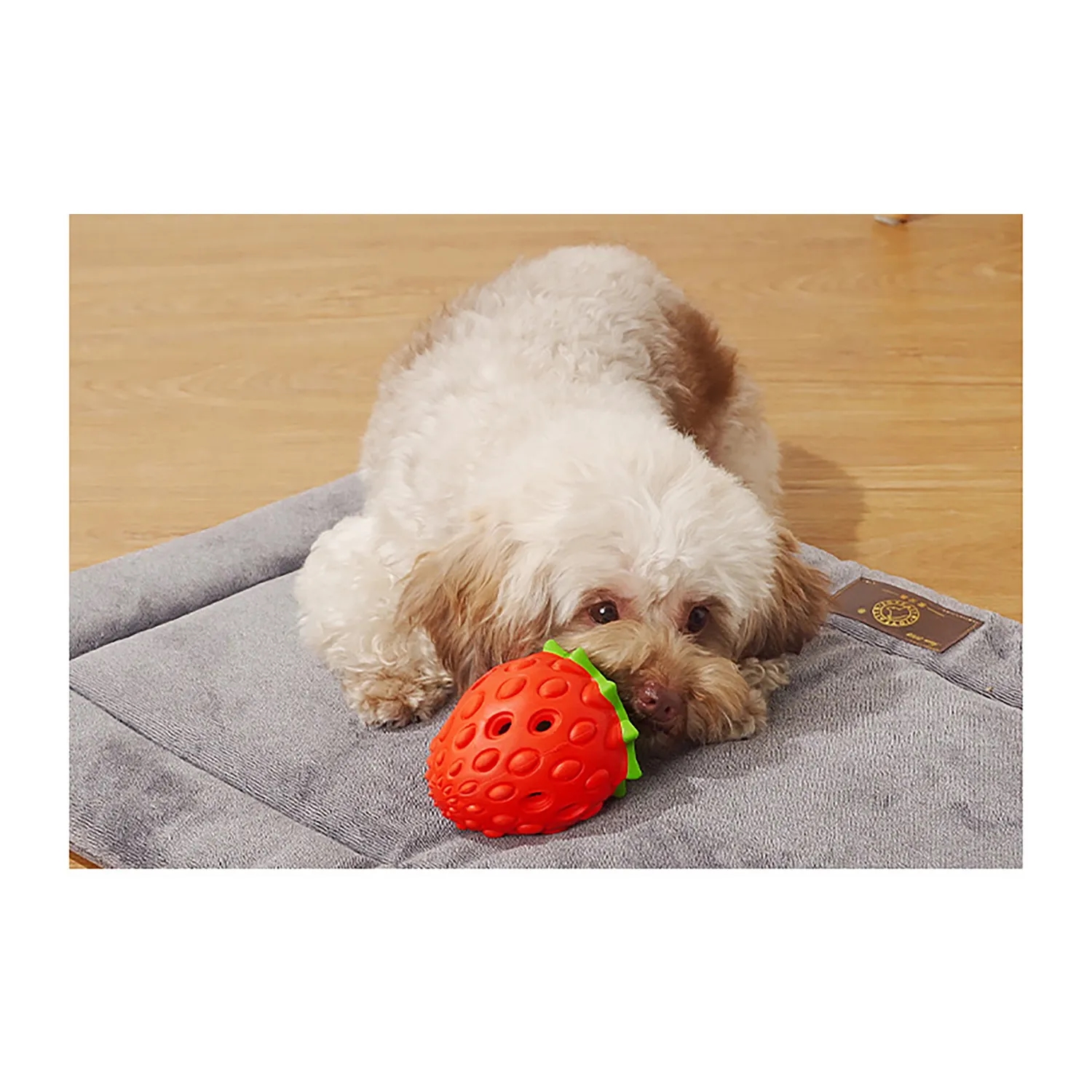 Fun Pet Teeth Cleaning Chew Rubber Toy 4