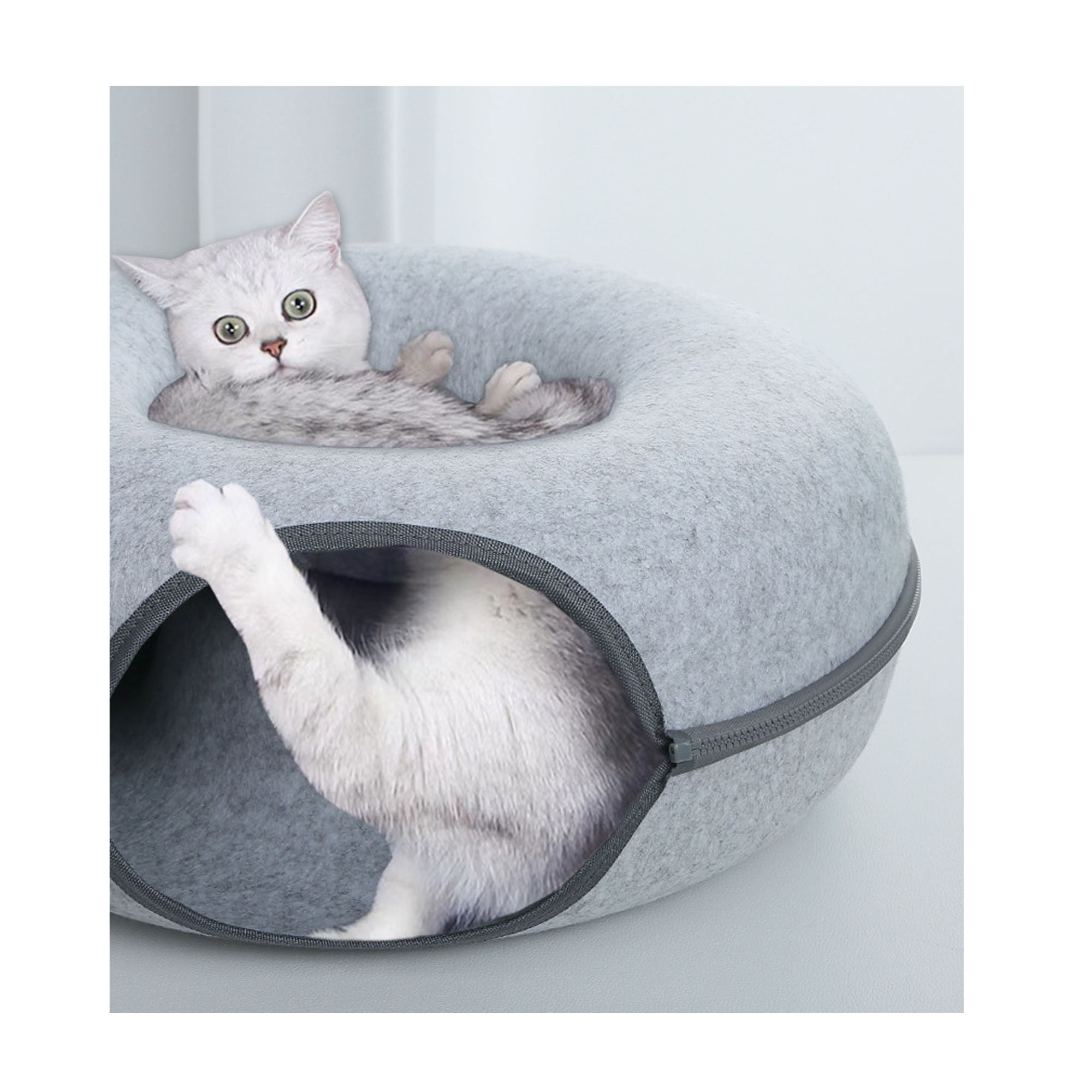 Interactive Cat Tunnel for Curious Kittens 3