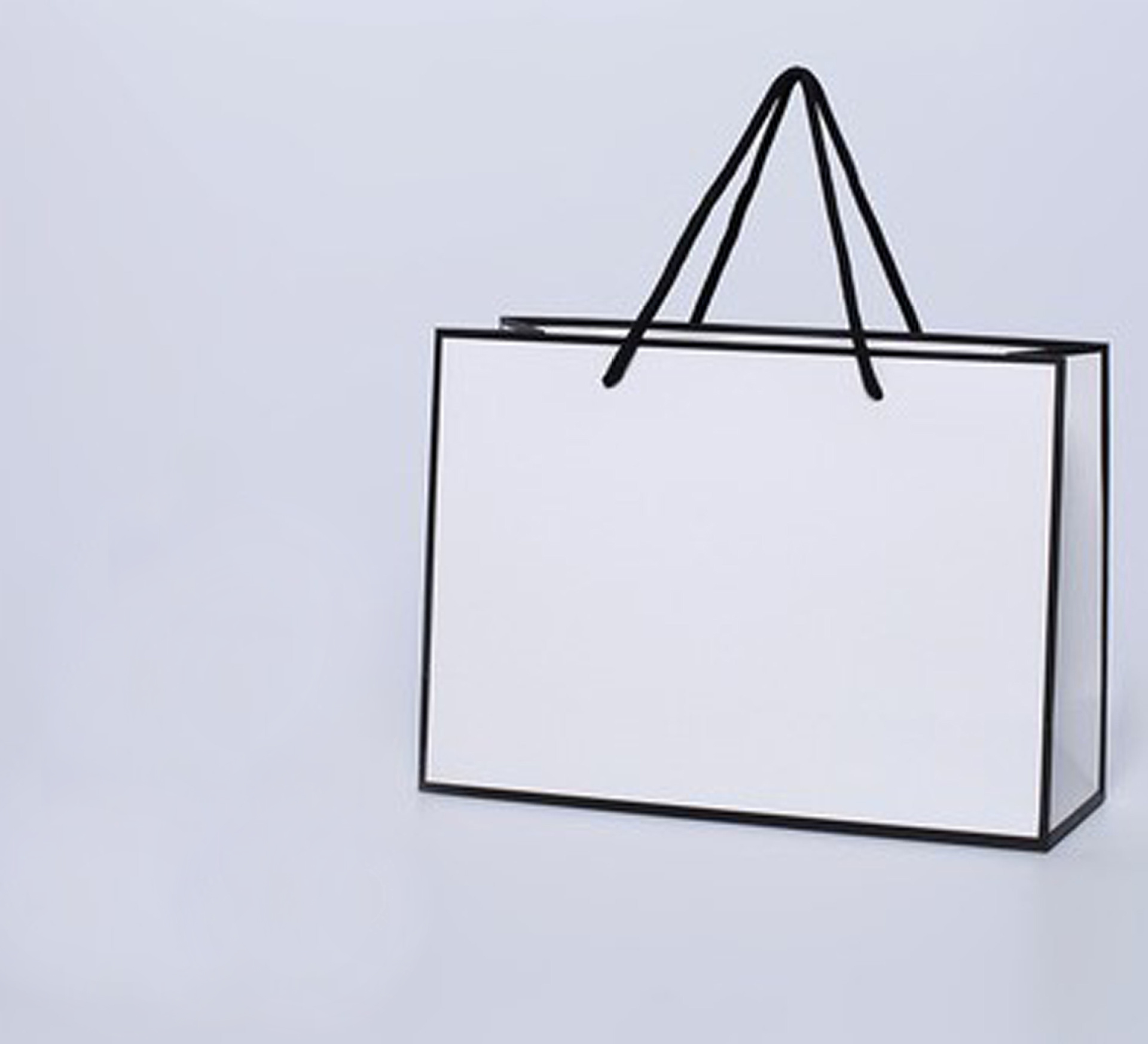 gift bag 5
