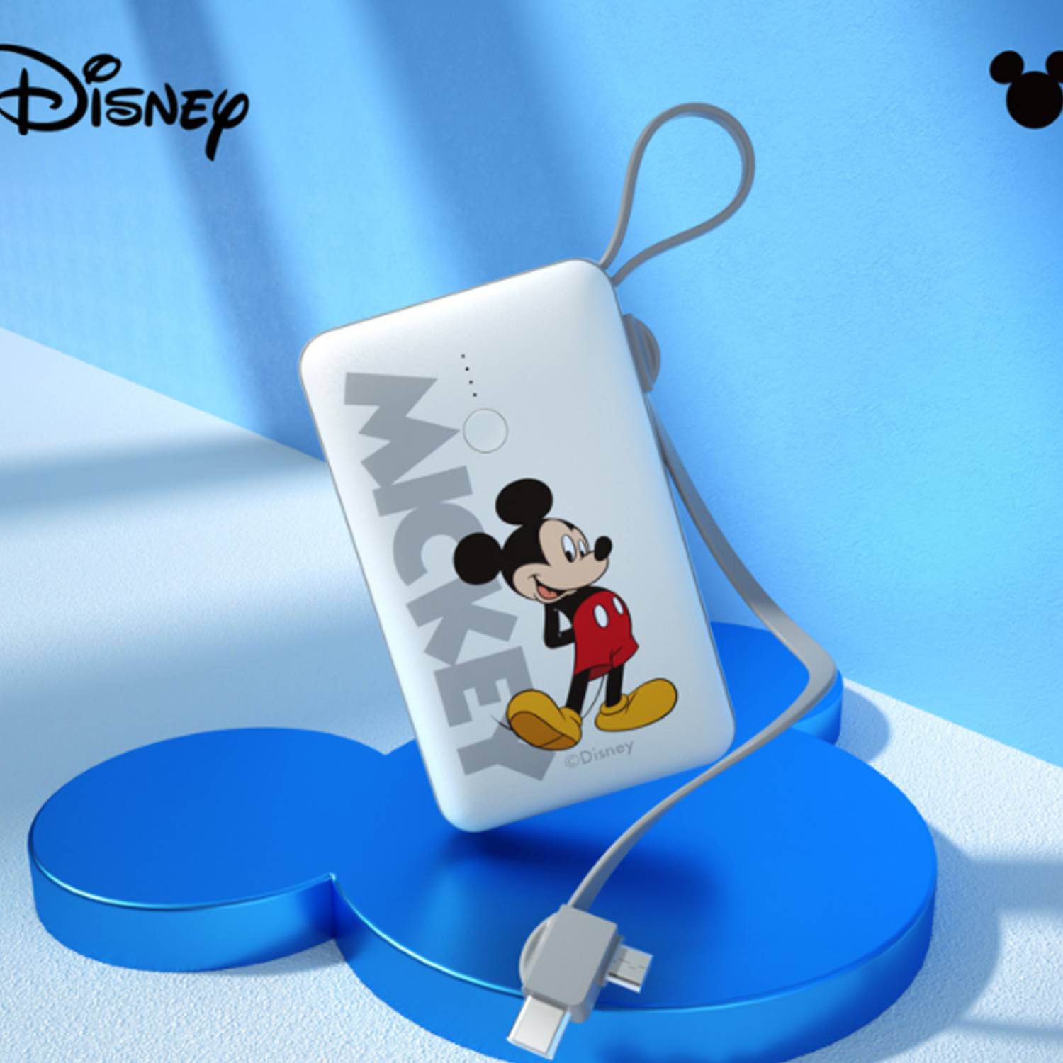 10000 mAh Power Bank 4