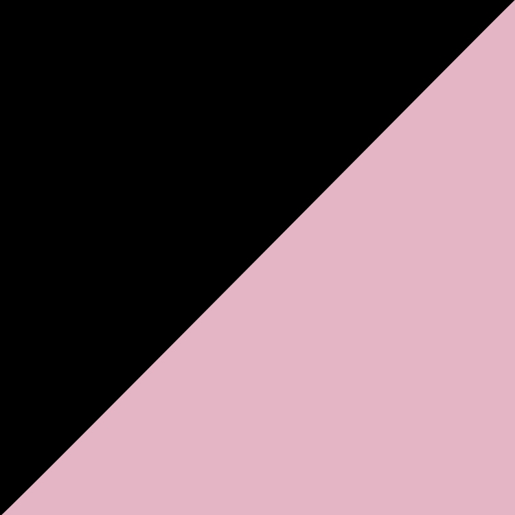 The Tradeshow Two-tone Tote Bag 6