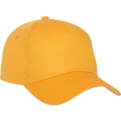 Unisex Composite Ballcap 216