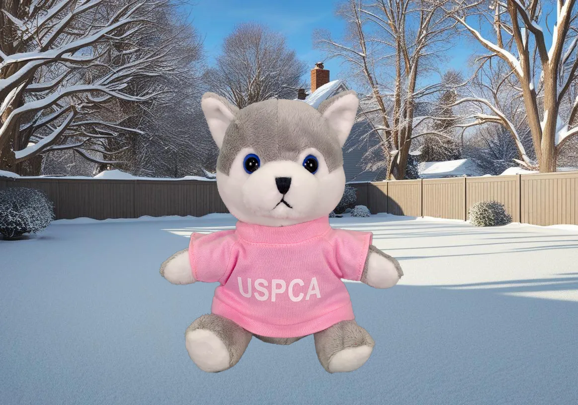 6" Beanie Husky Plush 8