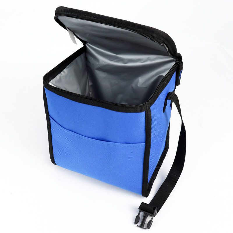 INSULATED LUNCH BAG 9