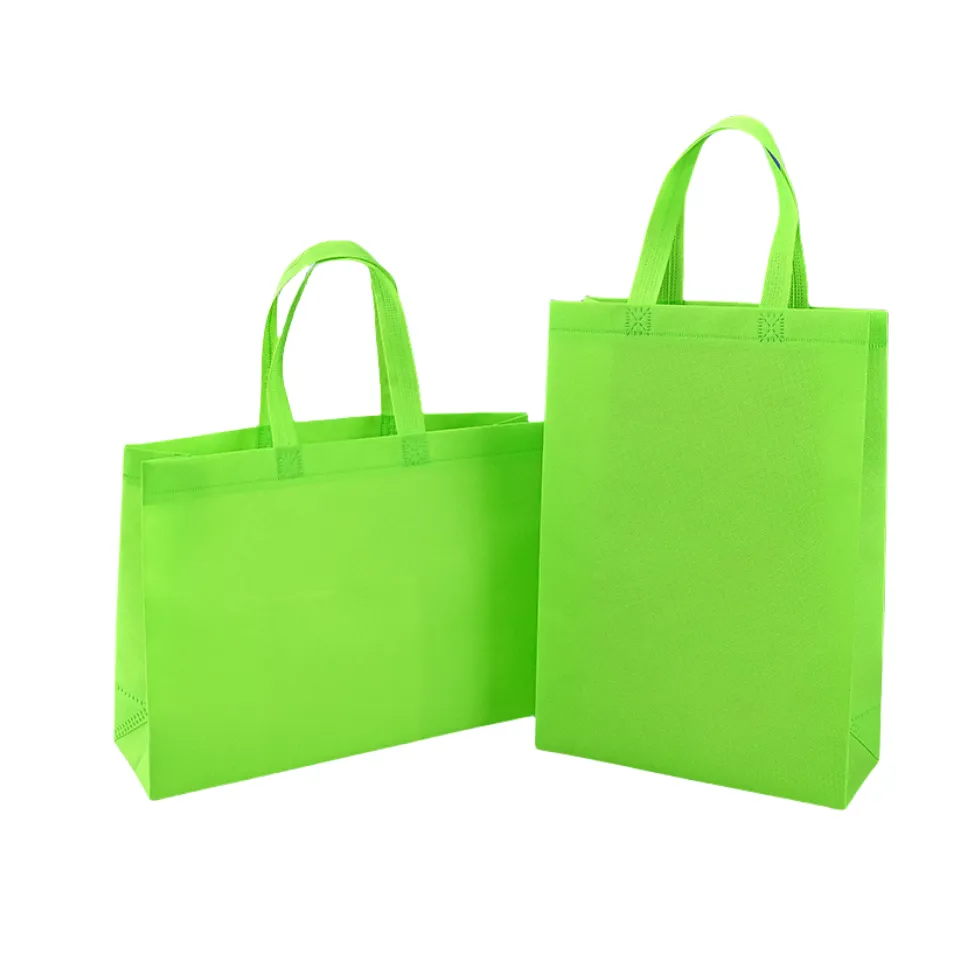 Portable Non Woven Bag 5