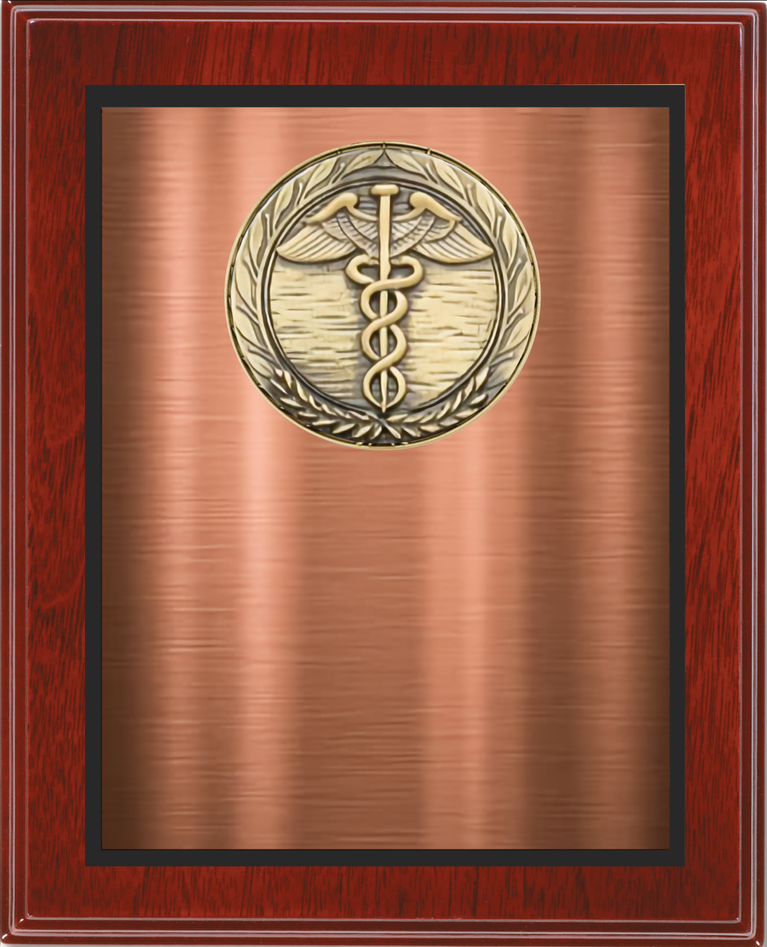Mahogany Finish Plaque w/Medallion Over Double Plate 15