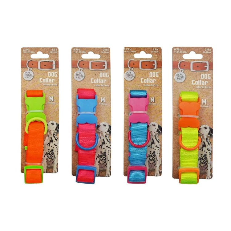 Dog Collars - Neon Medium 2
