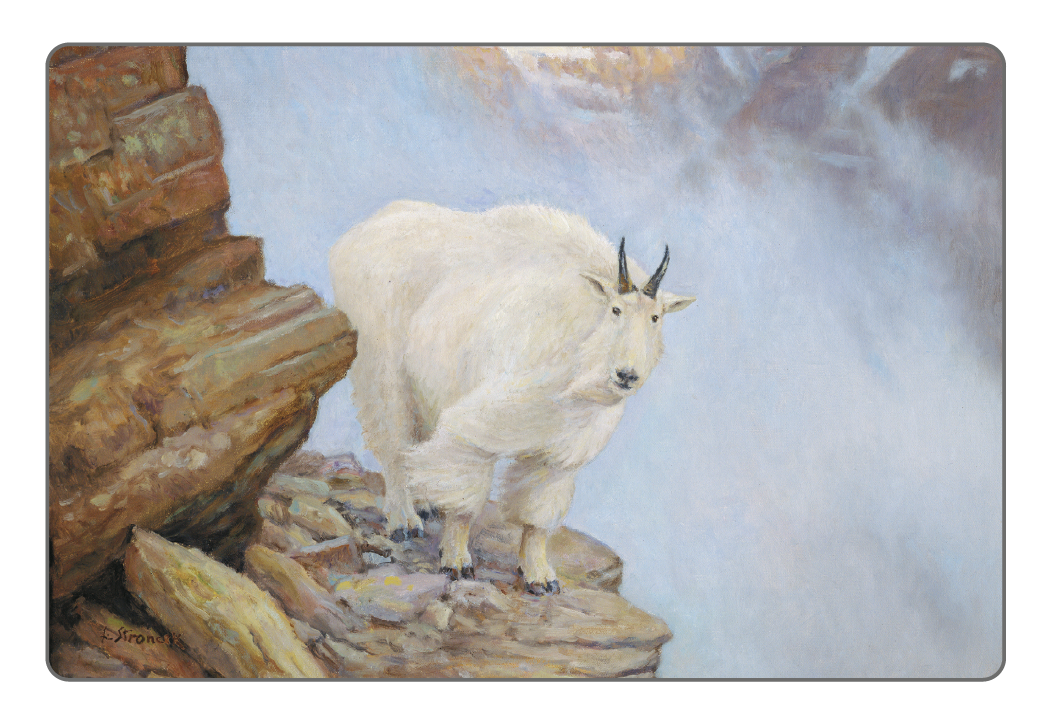 Triumph® Calendars Wildlife Art Pocket Calendar 52