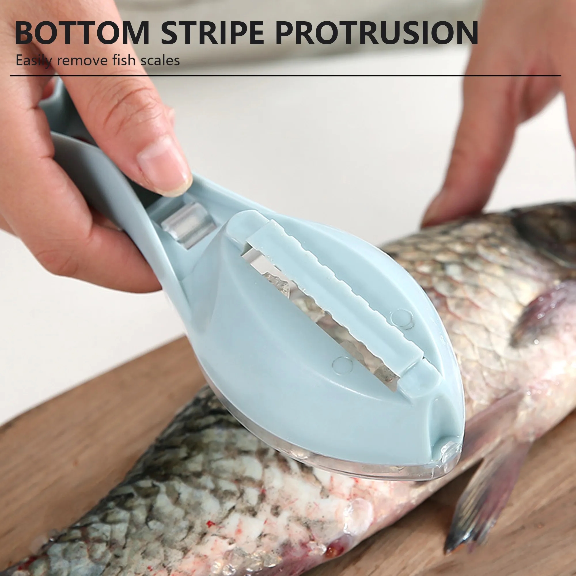 Fish Scale Remover 1