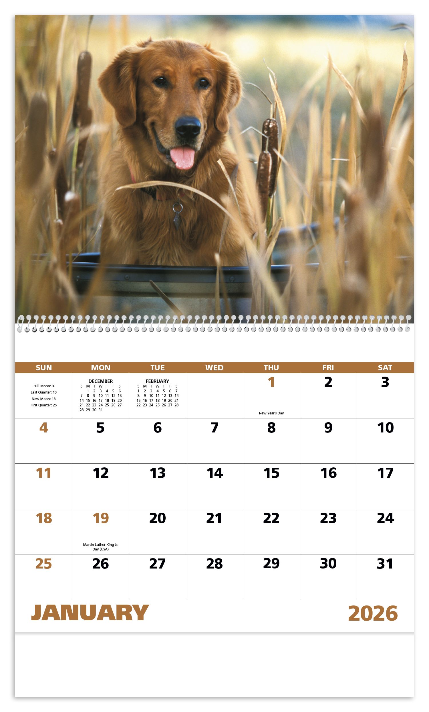 Good Value™ Sporting Dogs - Spiral Calendar 42