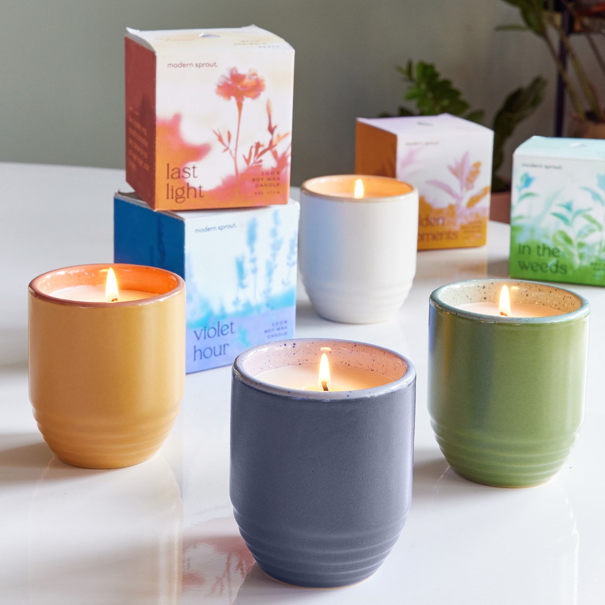 Modern Sprout® Garden Vibes Candle/Planter 49