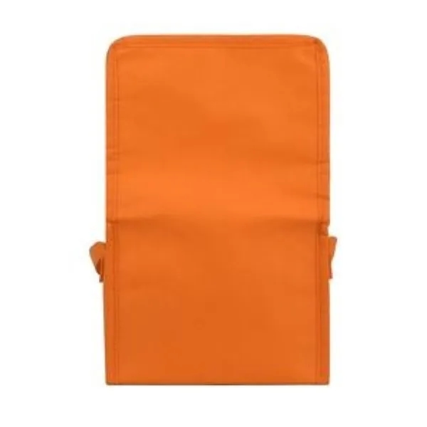 Springs 6-Pack Insulated Cooler Bag 15