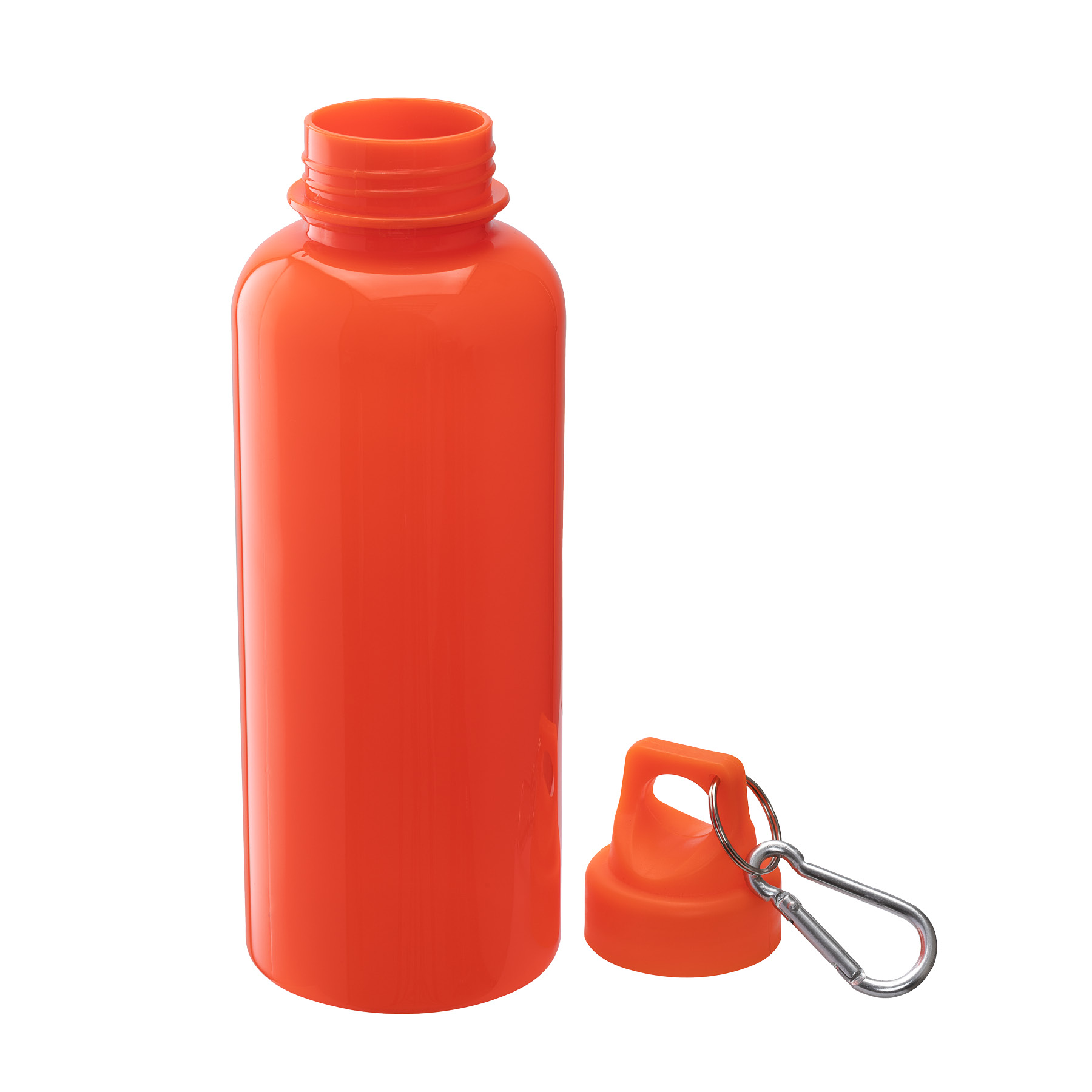 Brio 20 oz. PS Water Bottle w/ Carabiner 75