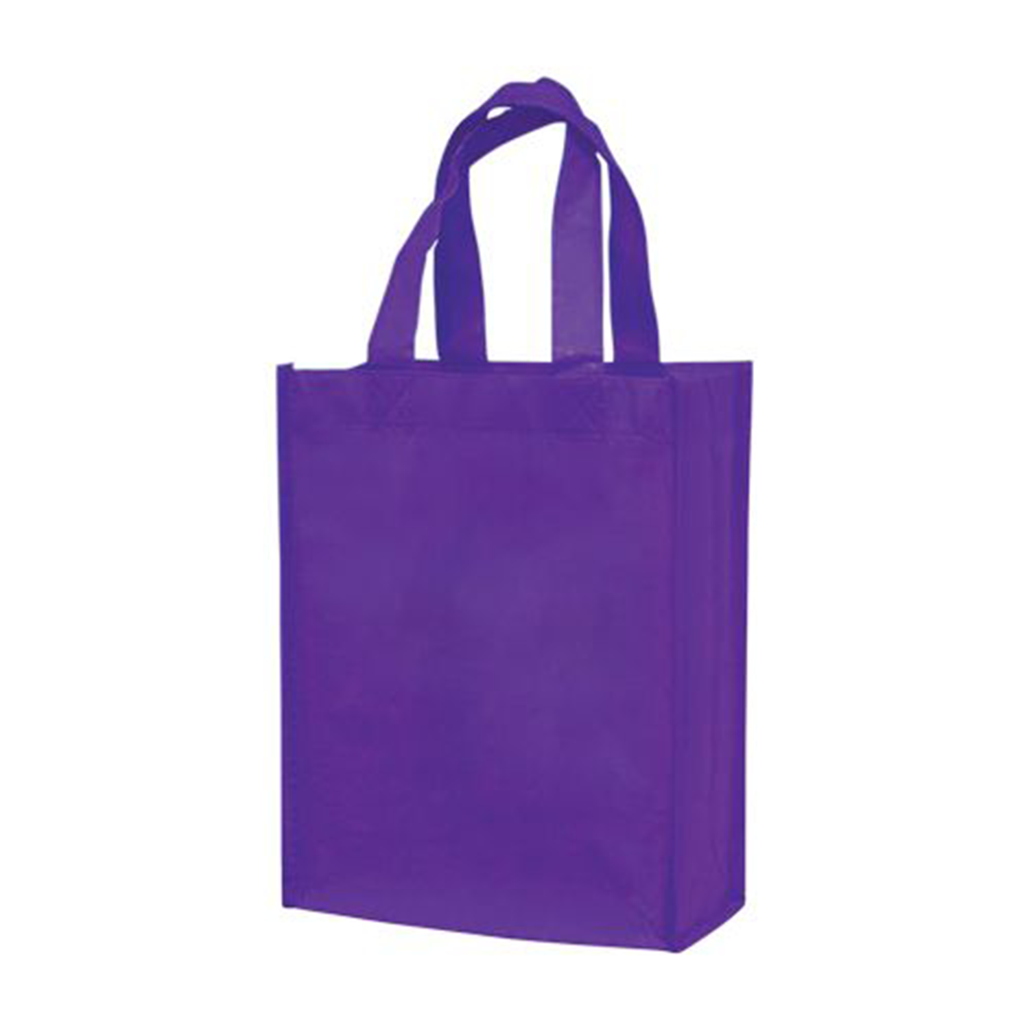 Small Laminated Tote Bag 2